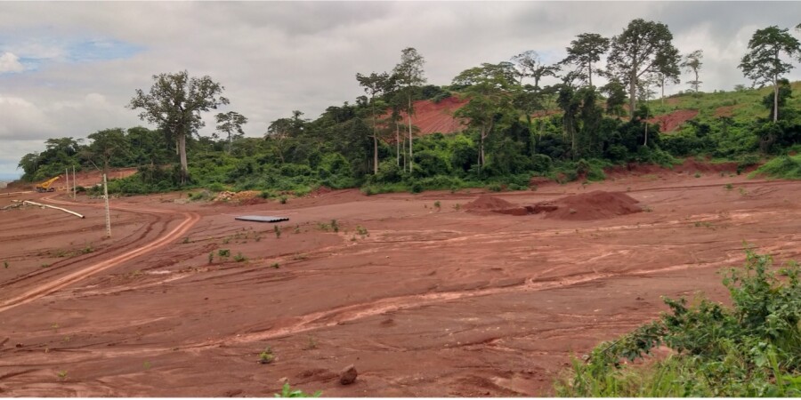 Conservation challenges in the face of gold mining expansion in Côte d’Ivoire